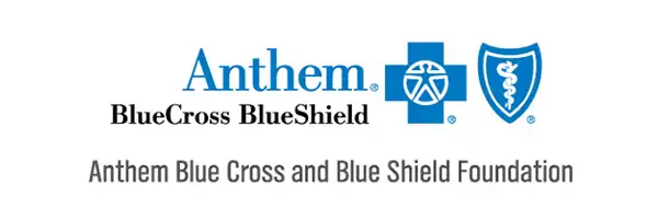 chiropractic maui hi in anthem insurance logo